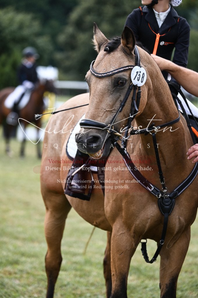 DSC_5765 | Pferde- und Turnierfotografie in Westsachsen. Pferdeportraits, Auftragszeichnungen und intuitive Kunst.