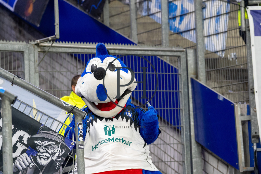 6. Spieltag HSV - Mainz 05_SC-08 | Philipp-Heist - Realisiert mit Pictrs.com