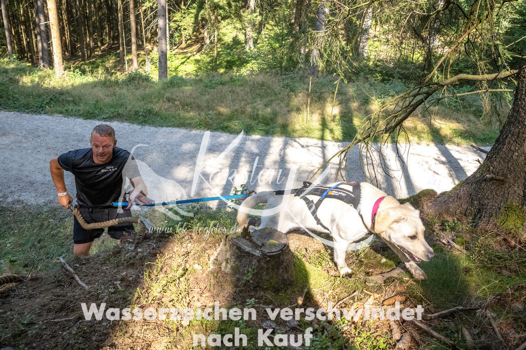 1126_ZZ90558 | kk-dogfotos