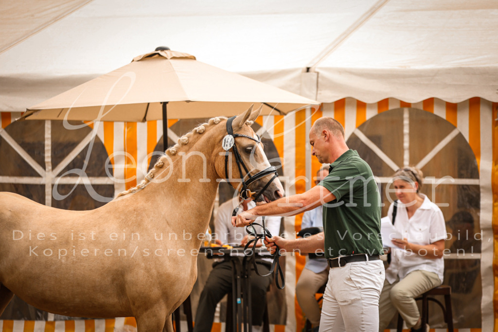 07.So00092 | Leoni Ertmer Photography - Realisiert mit Pictrs.com