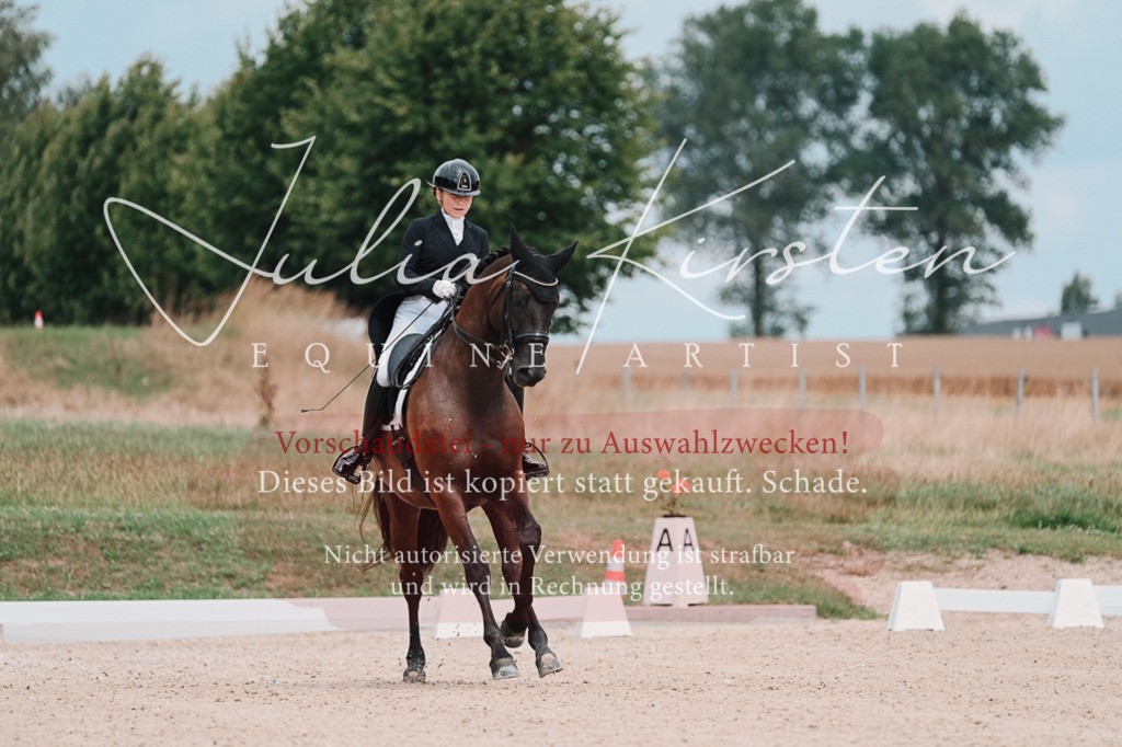 DSC_4185 | Pferde- und Turnierfotografie in Westsachsen. Pferdeportraits, Auftragszeichnungen und intuitive Kunst.