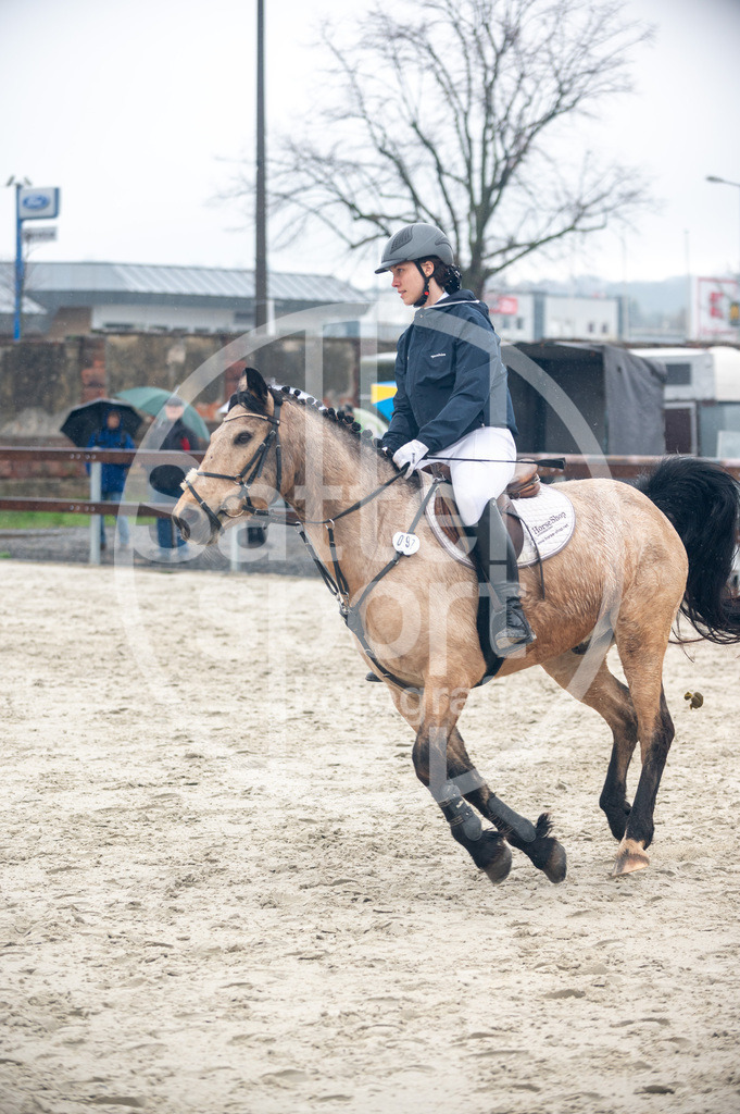 DSC_8939 | sattelsport - Realisiert mit Pictrs.com