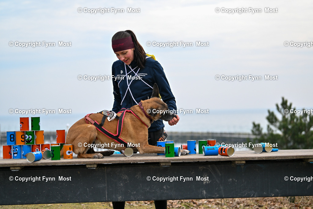DSC_1396 | Hallo und herzlich Willkommen auf meiner Shop-Seite Fynn Most.

Ich wünsche Dir viel Spaß beim stöbern durch die Bilder, wenn Du Fragen hast oder Bilder vermisst, kannst du mir gerne eine Nachricht schreiben. - Realisiert mit Pictrs.com