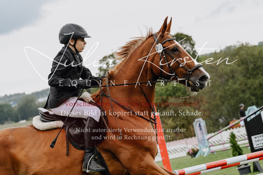 DSC_6856 | Pferde- und Turnierfotografie in Westsachsen. Pferdeportraits, Auftragszeichnungen und intuitive Kunst.