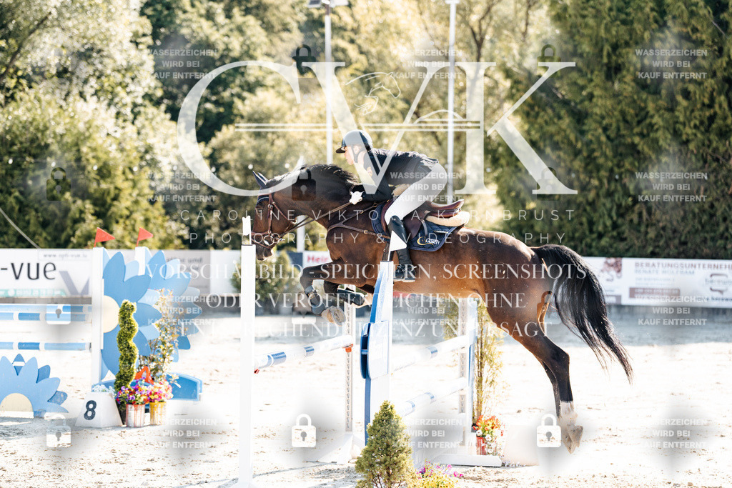 CK902148 | Turnierfotografie Pferdefotografie Trier Rheinland-Pfalz Pferdesport Reitsport Tierfotografie Sportfotografie Pferdevideo Pferdevideografie Equestrianvideography equestrianphotography  - Realisiert mit Pictrs.com