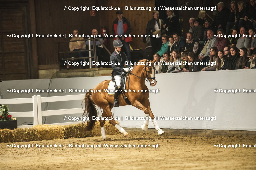 20240302_Hengstvorstellung_Marbach_TOMsPiC_0550-2 | equistock