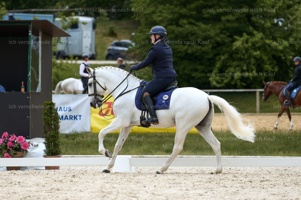 PI26_DR_251_StoibphotographyC2_L6832A.jpg | working equitationturnier fotograf videograf stoibphotography marixx film working equitation deutschland reitsport turnierfotografie eventfotografie equestrian events