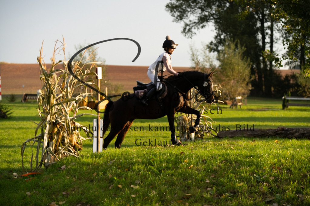 A7V02833 | Turnier/Reitfotograf