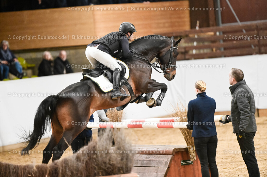 20260307_Hengstvorstellung-Marbach_0454 | equistock