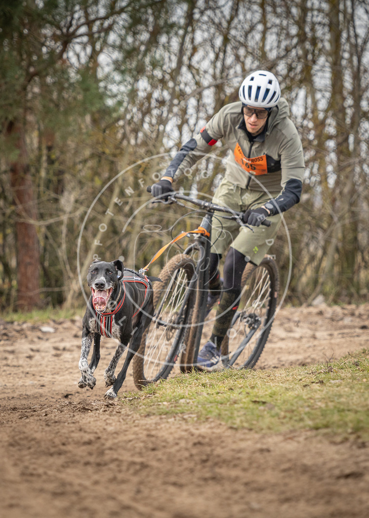 Pfotenfotografie_DV3A9363 | Hundefotografie, Tierfotograf, Pfotenfotografie, Fotoshooting Hund, Hunde Portrait, Hundesport, Hundeportraits, Heideshooting, Hunde, Sportfotograf, Hundefotograf, Turnierhundsport, THS,  - Realisiert mit Pictrs.com