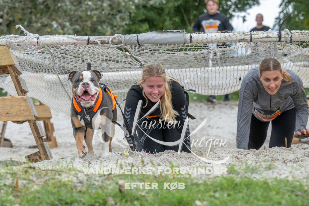 1036_ZZ94443 | kk-dogfotos