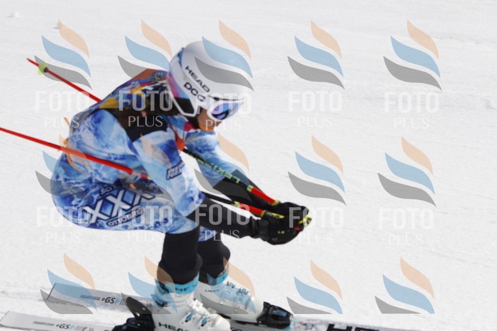 _U3G0525 | holidayphoto