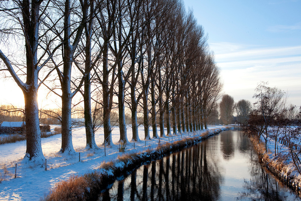 091221-022 | Europa, DEU, Deutschland, Nordrhein Westfalen, NRW, Rheinland, Niederrhein, Wachtendonk, Fluss, Die Niers, Flusslandschaft, Niersaue, Auenlandschaft, Winter, Schnee, Baeume, Pappeln, Kategorien und Themen, Natur, Umwelt, Landschaft, Jahreszeiten, Stimmungen, Landschaftsfotografie, Landschaften, Landschaftsphoto, Landschaftsphotographie, Naturschutz, Naturschutzgebiete, Landschaftsschutz, Biotop, Biotope, Landschaftsschutzgebiete, Landschaftsschutzgebiet, Oekologie, Oekologisch, Typisch, Landschaftstypisch, Landschaftspflege

[Fuer die Nutzung gelten die jeweils gueltigen Allgemeinen Liefer-und Geschaeftsbedingungen. Nutzung nur gegen Verwendungsmeldung und Nachweis. Download der AGB unter http://www.image-box.com oder werden auf Anfrage zugesendet. Freigabe ist vorher erforderlich. Jede Nutzung des Fotos ist honorarpflichtig gemaess derzeit gueltiger MFM Liste - Kontakt, Uwe Schmid-Fotografie, Duisburg, Tel. (+49).2065.677997, 
archiv@image-box.com, www.image-box.com] - Realisiert mit Pictrs.com