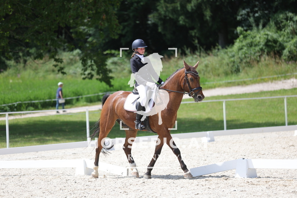 0P6A6593 | Willkommen bei Brunnmayr - Design & Fotografie – Ihrem Spezialisten für Reitturniere und Pferdeveranstaltungen in Oberösterreich, Salzburg und Bayern! Seit über 17 Jahren sind wir leidenschaftlich dabei.