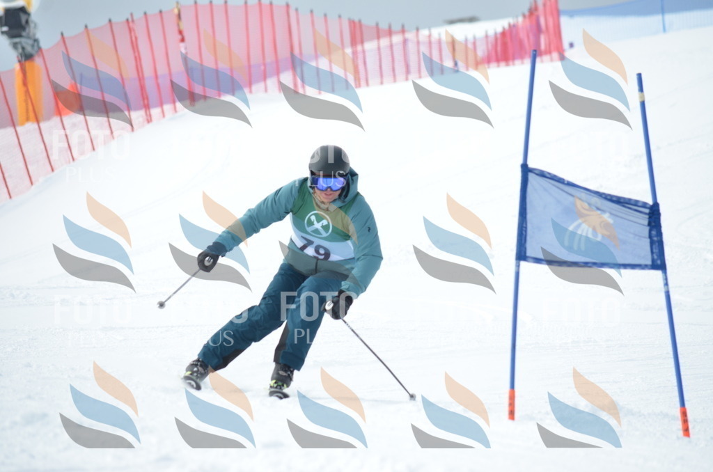 D9340 | holidayphoto