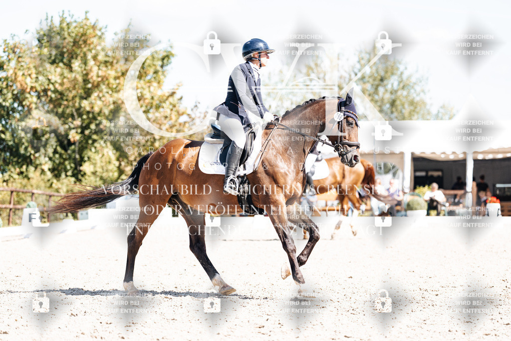 CK903924 | Turnierfotografie Pferdefotografie Trier Rheinland-Pfalz Pferdesport Reitsport Tierfotografie Sportfotografie Pferdevideo Pferdevideografie Equestrianvideography equestrianphotography  - Realisiert mit Pictrs.com