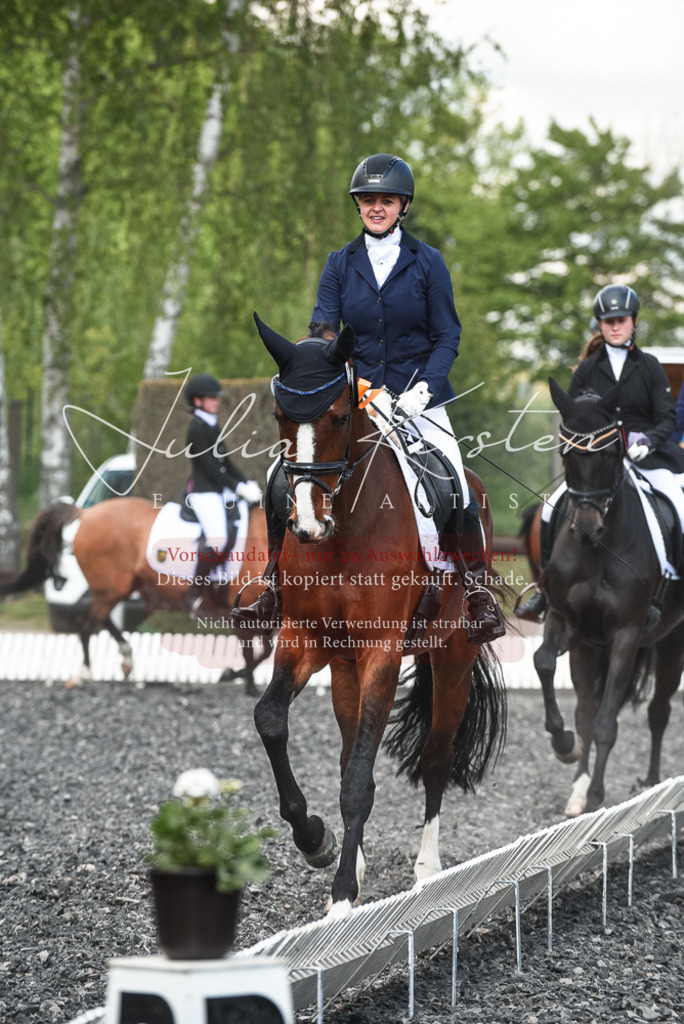 DSC_9090 | Pferde- und Turnierfotografie in Westsachsen. Pferdeportraits, Auftragszeichnungen und intuitive Kunst.