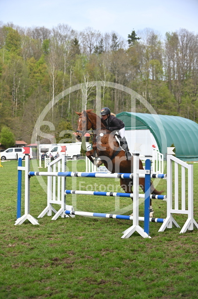 DSC_3780 | sattelsport - Realisiert mit Pictrs.com