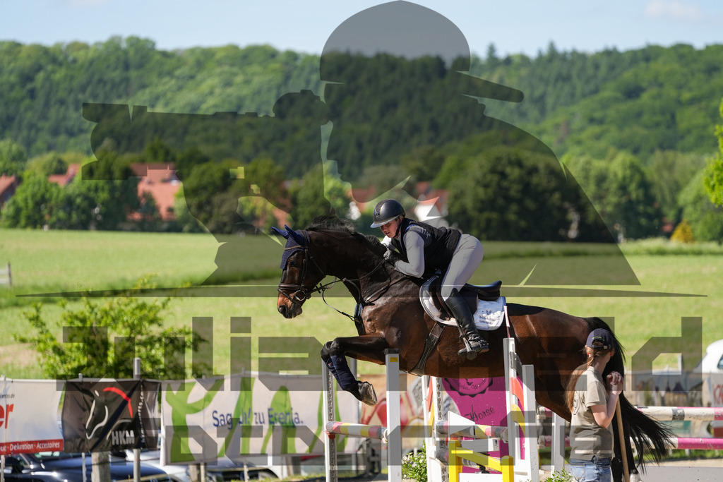 DSC02392 | Julian Held Fotografie - Realisiert mit Pictrs.com