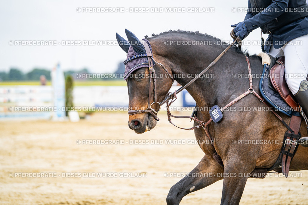 DSC02430 | Pferdegrafie