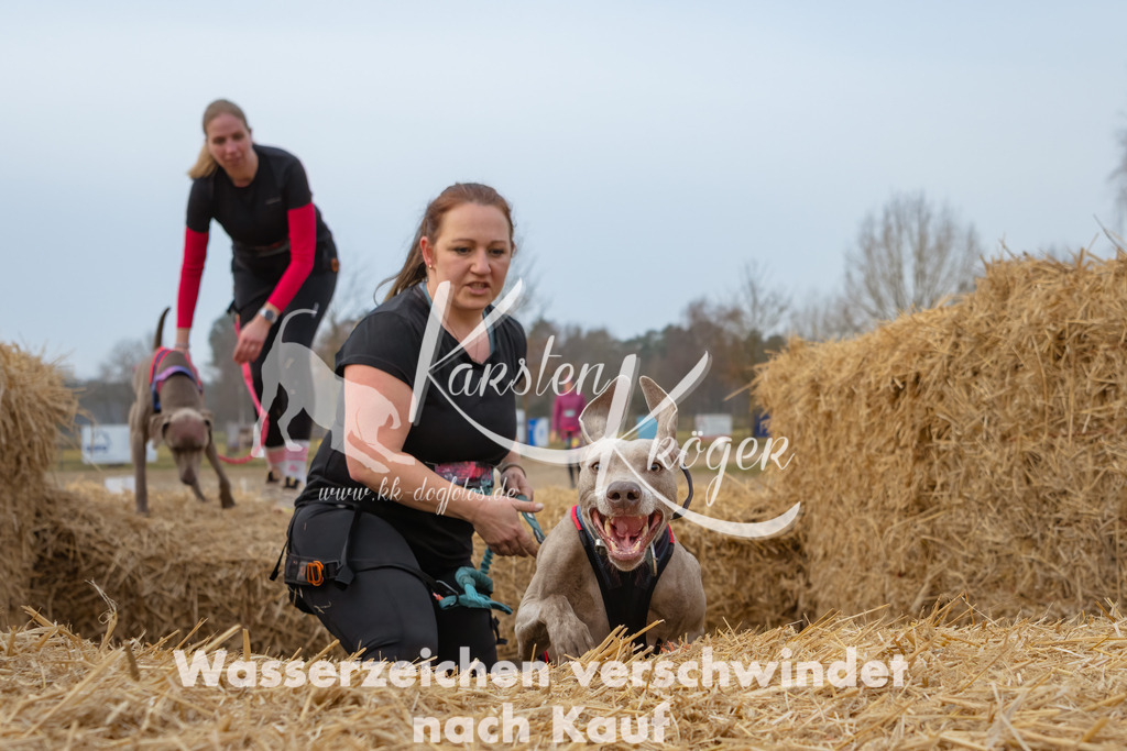 0840_ZZ94117-Bearbeitet | kk-dogfotos