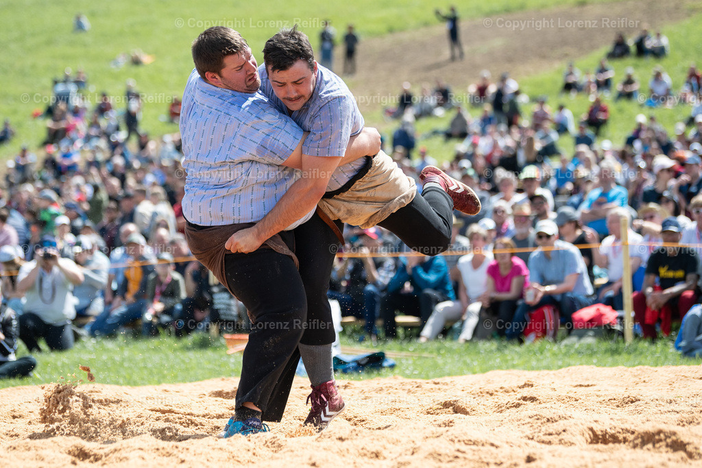 Schwingen -  Thurgauer Kantonales 2024 | Ermatingen, 5.5.24, Schwingen - Thurgauer Kantonales.
