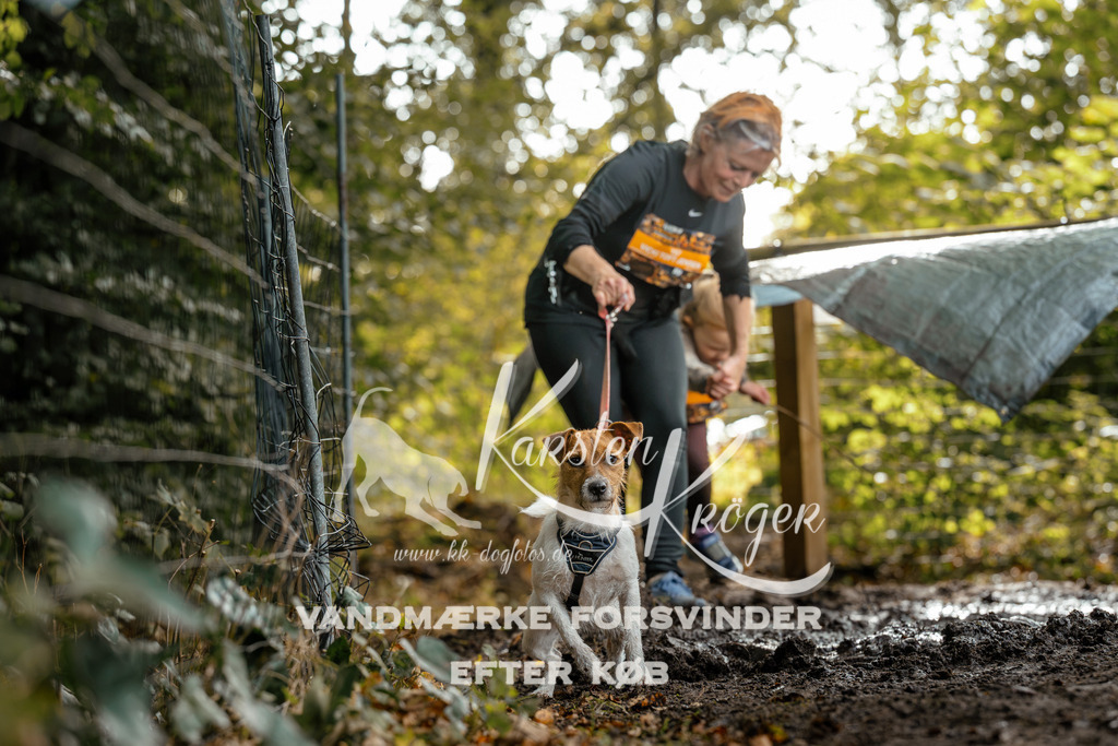 1452DZ6_3670Z6 | kk-dogfotos