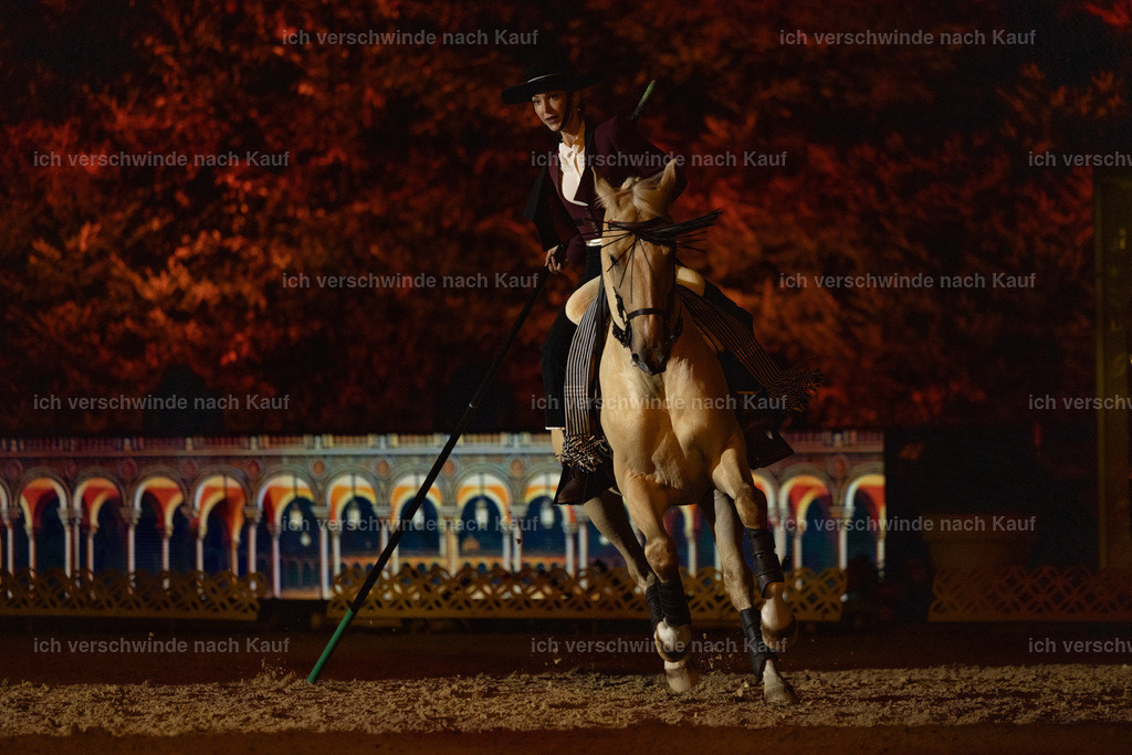 FHClassics-186 | working equitationturnier fotograf videograf stoibphotography marixx film working equitation deutschland reitsport turnierfotografie eventfotografie equestrian events