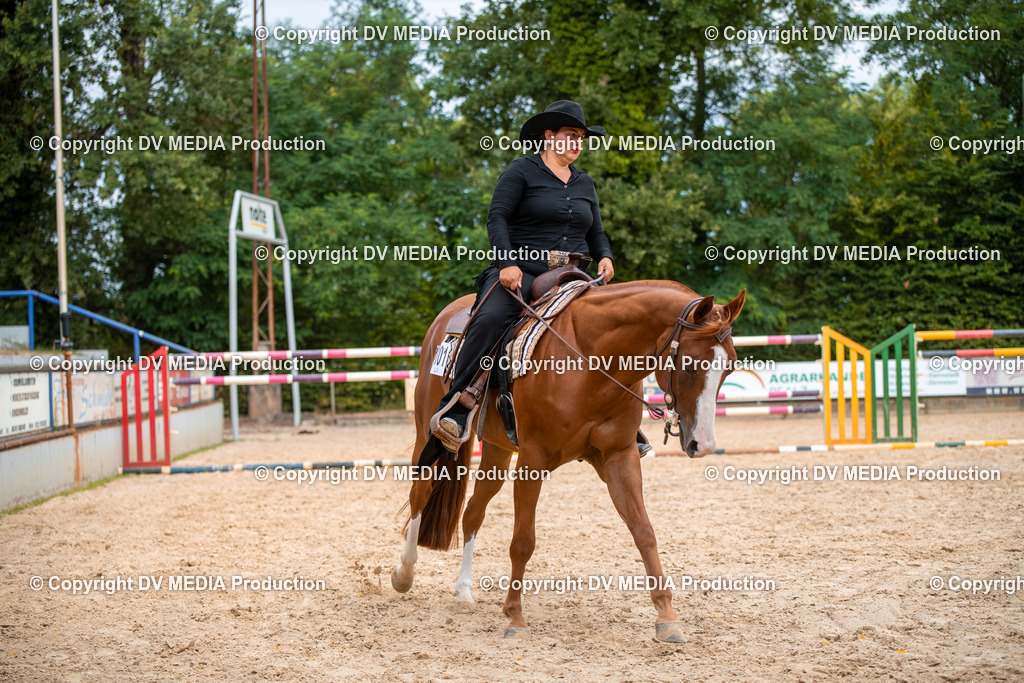 ZS2_8029 | dv-media-shop - Realisiert mit Pictrs.com