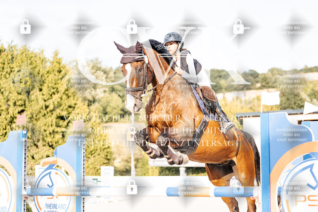 CK903345 | Turnierfotografie Pferdefotografie Trier Rheinland-Pfalz Pferdesport Reitsport Tierfotografie Sportfotografie Pferdevideo Pferdevideografie Equestrianvideography equestrianphotography  - Realisiert mit Pictrs.com