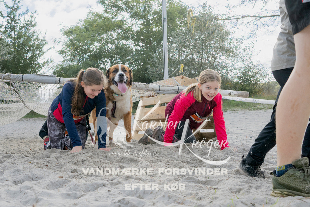 1334_ZZ97791 | kk-dogfotos