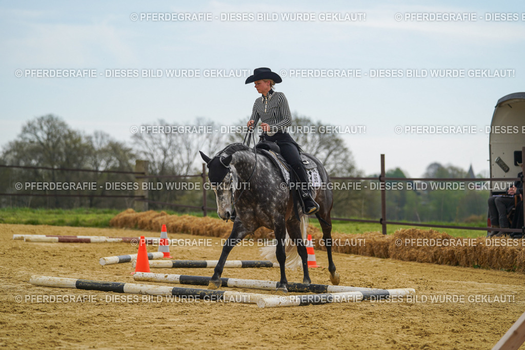 DSC02390 | Pferdegrafie