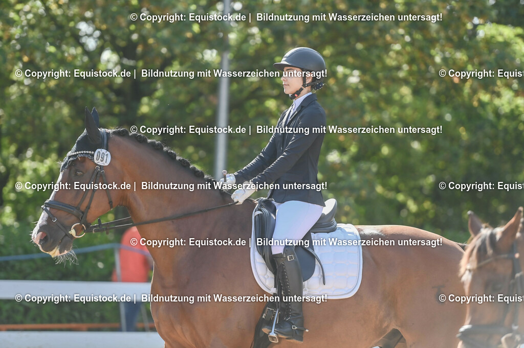 20230716_04_Dressurreiterprüfung Kl.A_0134 | equistock
