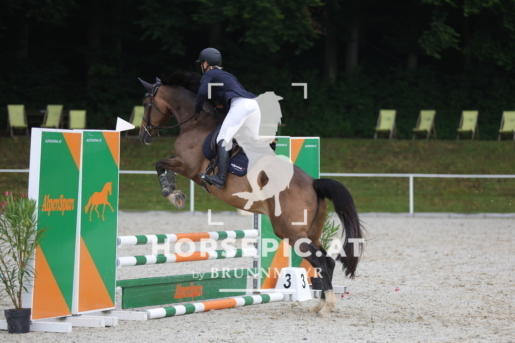 0P6A0339 | Willkommen bei Brunnmayr - Design & Fotografie – Ihrem Spezialisten für Reitturniere und Pferdeveranstaltungen in Oberösterreich, Salzburg und Bayern! Seit über 17 Jahren sind wir leidenschaftlich dabei.