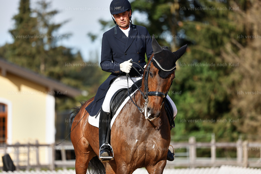 13-226-S___ -StoibPH-6920 | working equitationturnier fotograf videograf stoibphotography marixx film working equitation deutschland reitsport turnierfotografie eventfotografie equestrian events