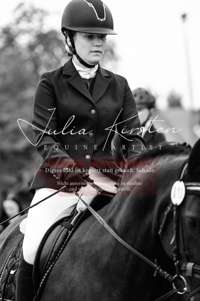 DSC_5114 | Pferde- und Turnierfotografie in Westsachsen. Pferdeportraits, Auftragszeichnungen und intuitive Kunst.