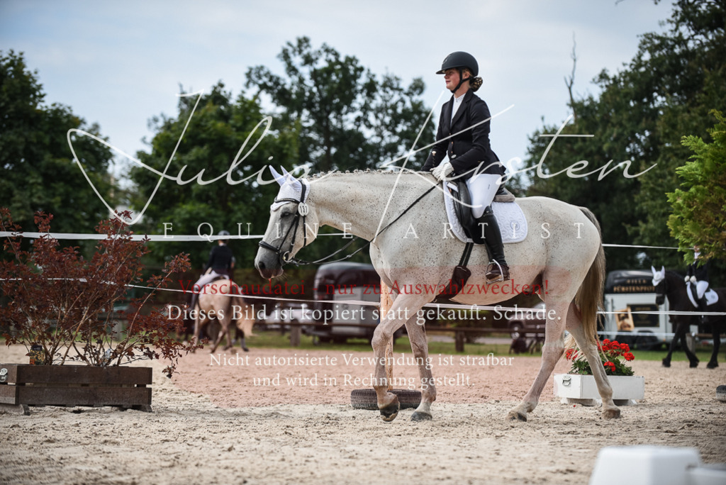 DSC_8527 | Pferde- und Turnierfotografie in Westsachsen. Pferdeportraits, Auftragszeichnungen und intuitive Kunst.
