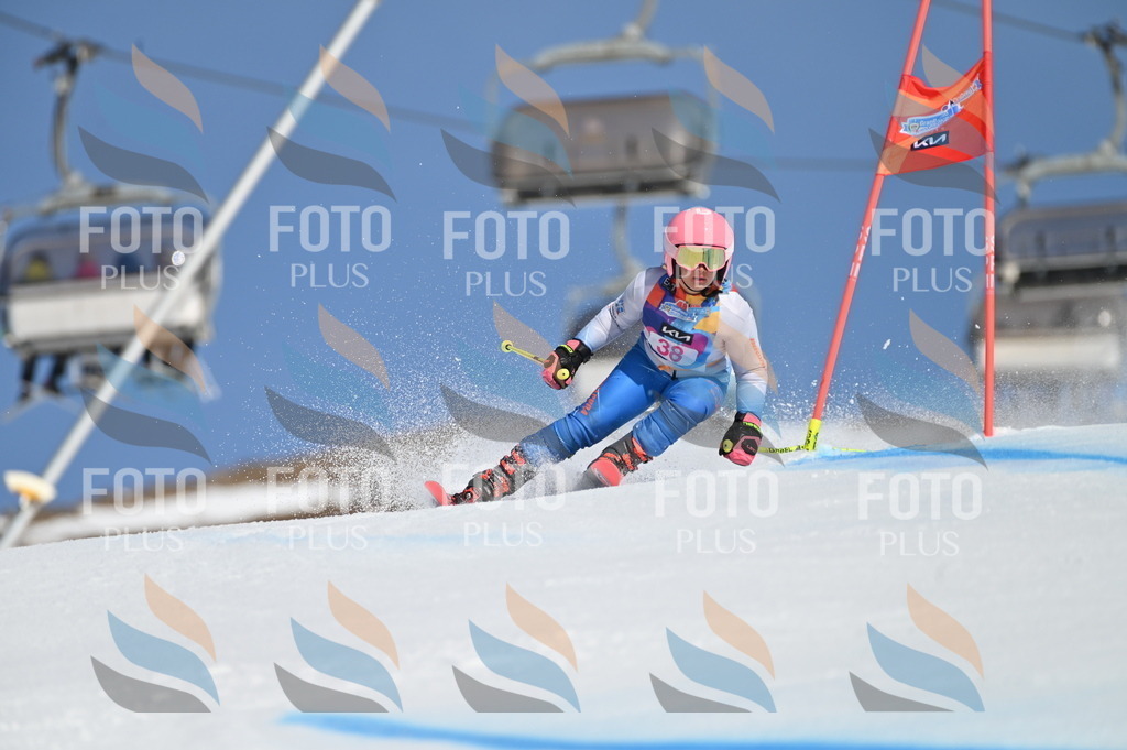 BGV_8297 | holidayphoto