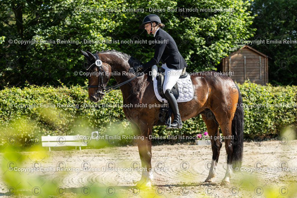 CL5A7117 | Emilia Reinking Fotografie - Realisiert mit Pictrs.com