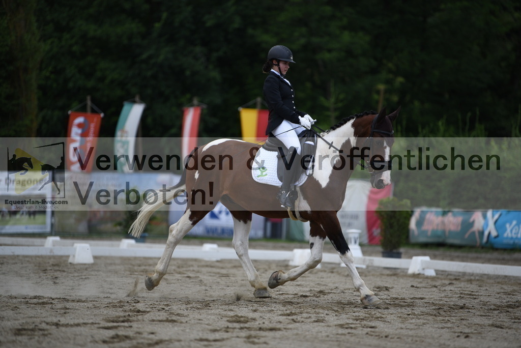 DSC_6474 | equestrian-live-com