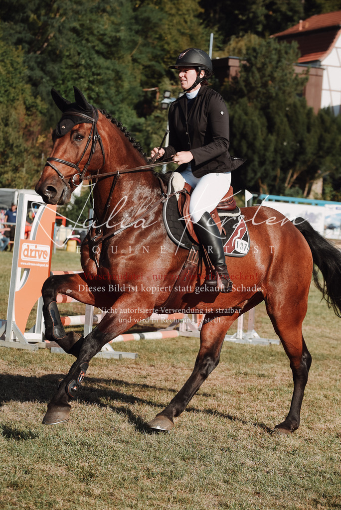 DSC_5187 | Pferde- und Turnierfotografie in Westsachsen. Pferdeportraits, Auftragszeichnungen und intuitive Kunst.