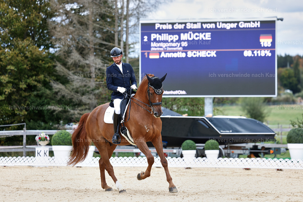 04_1-165-Dressur M__ -StoibPH-StoibPH-2630 | working equitationturnier fotograf videograf stoibphotography marixx film working equitation deutschland reitsport turnierfotografie eventfotografie equestrian events