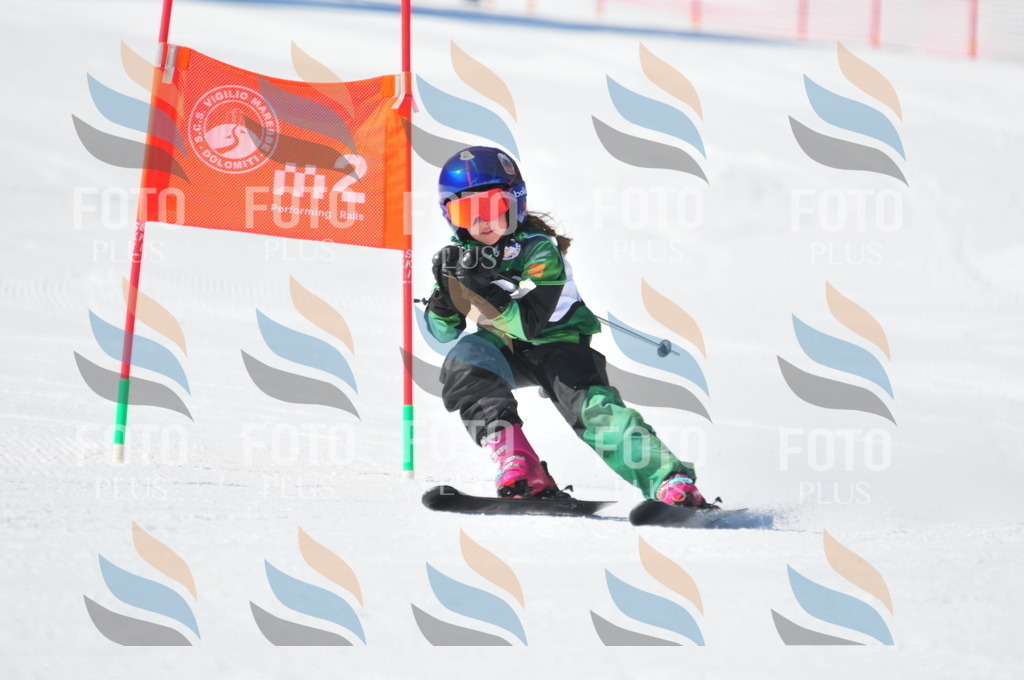 C2687 | holidayphoto