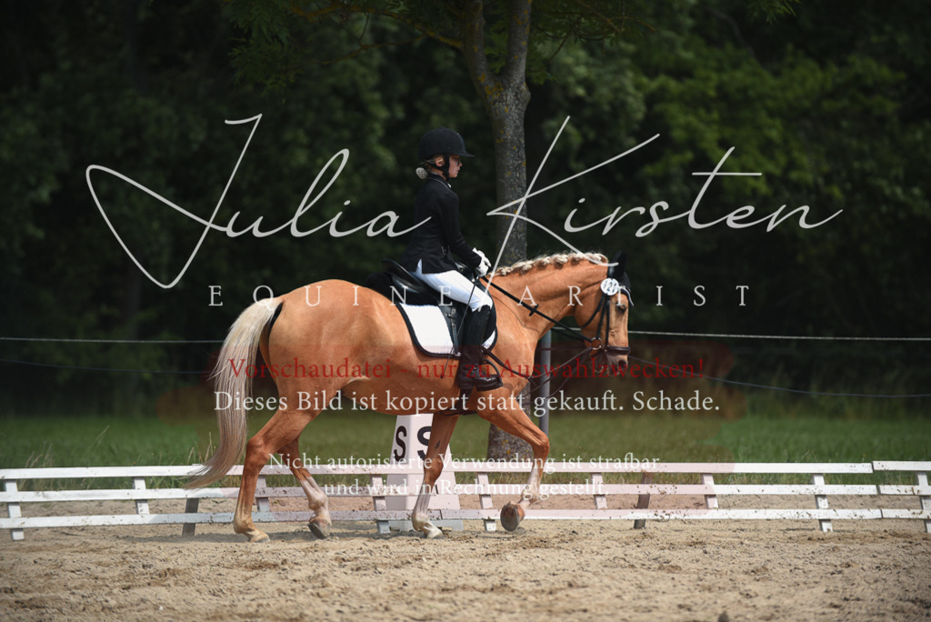 DSC_2429 | Pferde- und Turnierfotografie in Westsachsen. Pferdeportraits, Auftragszeichnungen und intuitive Kunst.