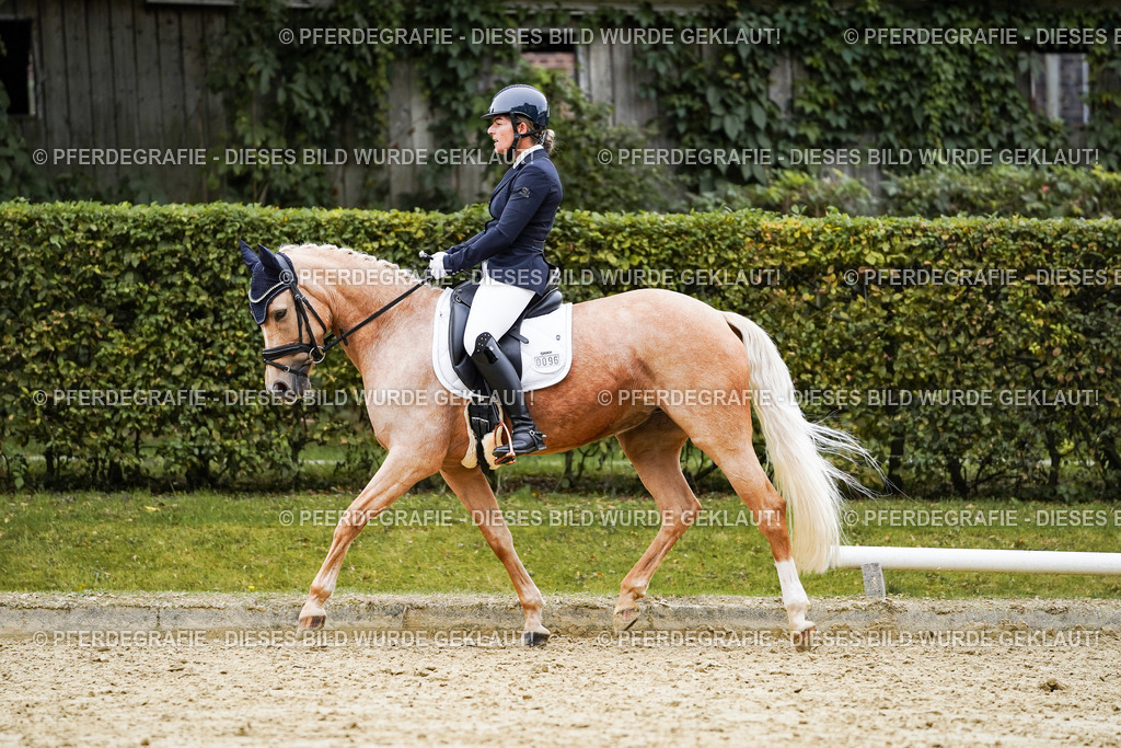 DSC08955 | Pferdegrafie