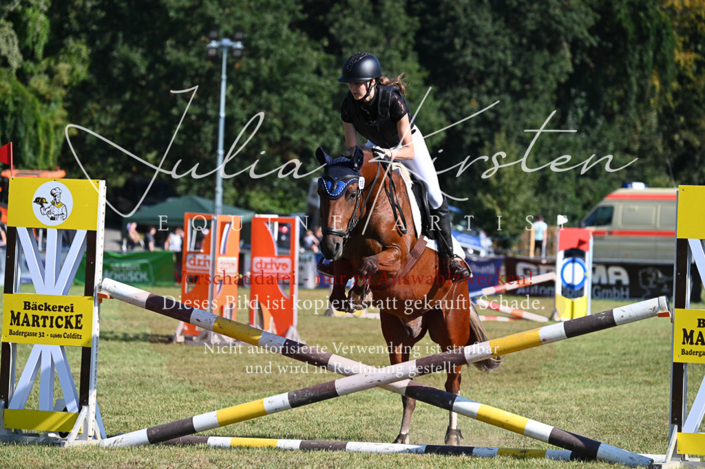 DSC_5344 | Pferde- und Turnierfotografie in Westsachsen. Pferdeportraits, Auftragszeichnungen und intuitive Kunst.