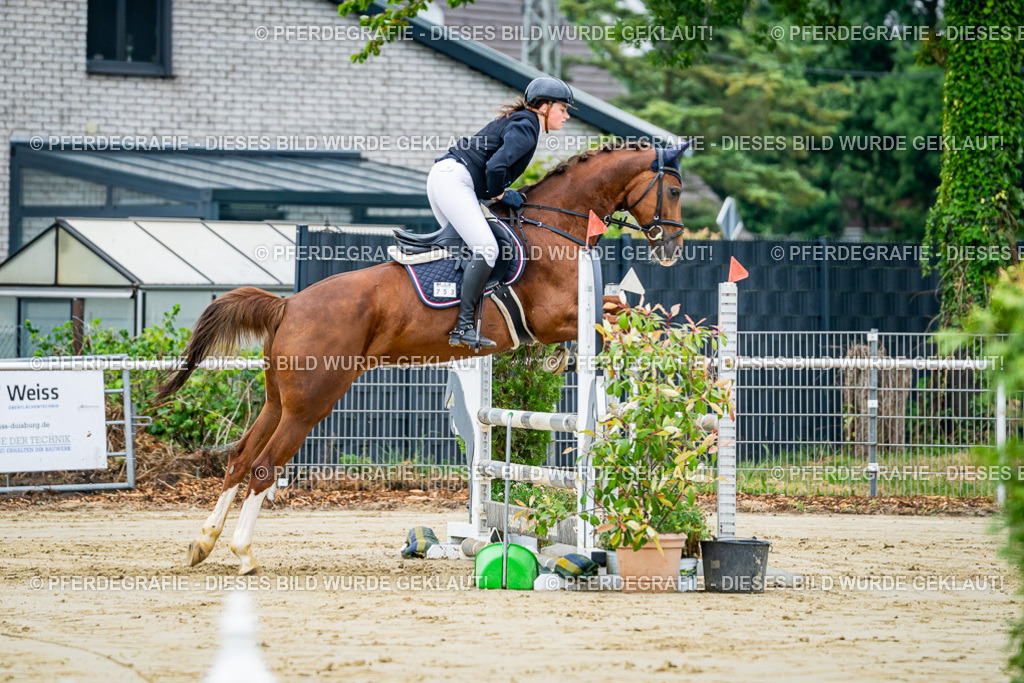 DSC02441 | Pferdegrafie