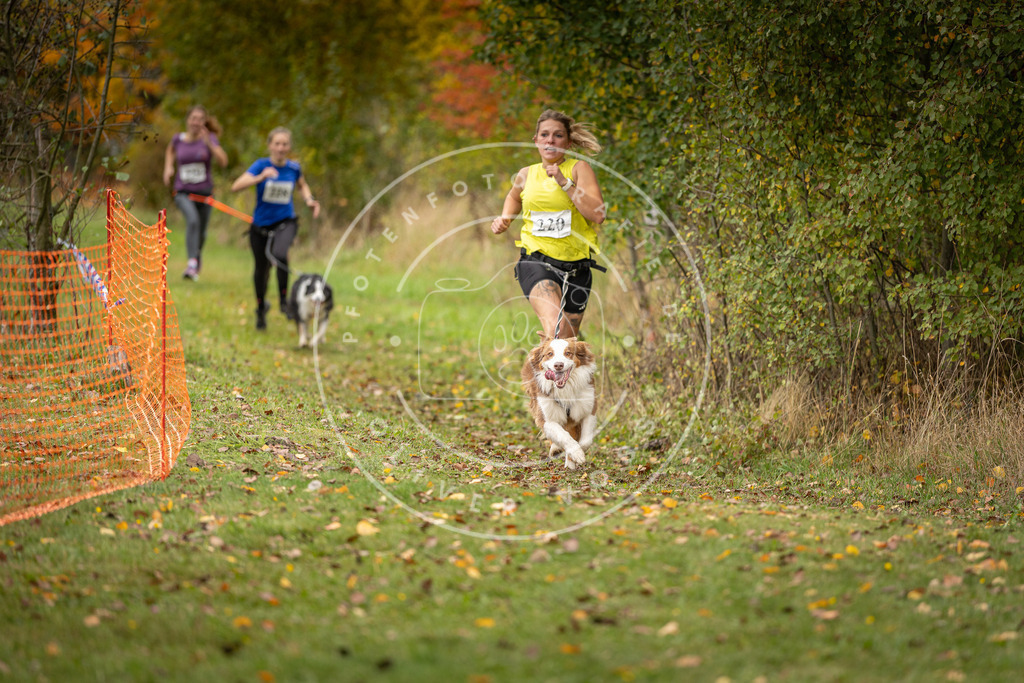 Pfotenfotografie_DV3A4495 | Hundefotografie, Tierfotograf, Pfotenfotografie, Fotoshooting Hund, Hunde Portrait, Hundesport, Hundeportraits, Heideshooting, Hunde, Sportfotograf, Hundefotograf, Turnierhundsport, THS,  - Realisiert mit Pictrs.com