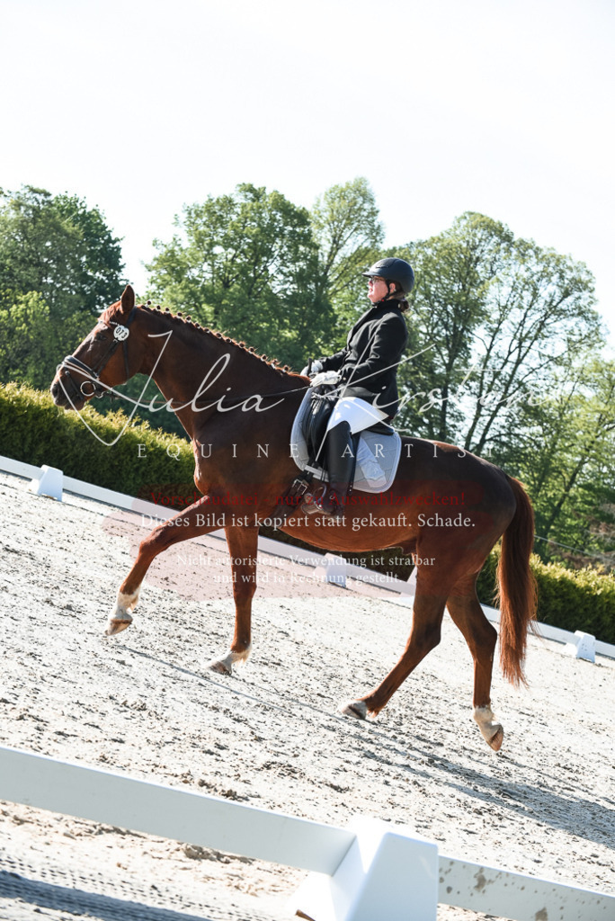 20230518_JK-Röhrsdorf-09-0540 | Pferde- und Turnierfotografie in Westsachsen. Pferdeportraits, Auftragszeichnungen und intuitive Kunst.