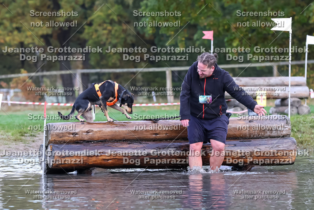 Dog Paparazzi - Strongdog 10-25-6634 | Dog Paparazzi Jeanette Grottendiek Fotografie & Videografie - Realisiert mit Pictrs.com